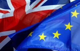 Thượng viện Anh yêu cầu sửa Dự luật Brexit