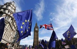 Những người đàm phán Brexit - Họ là ai?