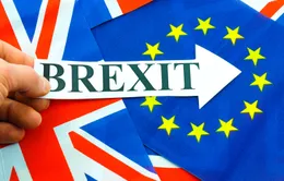 Người Anh tích trữ nhu yếu phẩm đề phòng Brexit