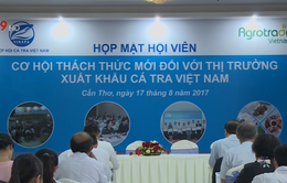 Cơ hội, thách thức mới đối với thị trường xuất khẩu cá tra Việt Nam