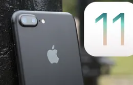 iOS 11 mang tới nhiều trải nghiệm mới với ứng dụng Camera