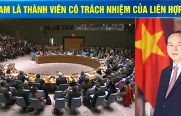 Việt Nam là thành viên có trách nhiệm của Liên Hợp Quốc