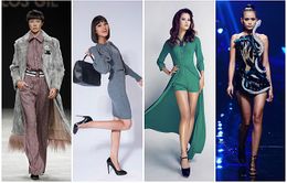 Bộ tứ chân dài Vietnam's Next Top Model "rủ nhau" đến Bữa trưa vui vẻ