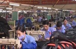 Doanh nghiệp hào hứng với Chỉ thị 20 của Thủ tướng Chính phủ