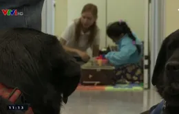 Chó hỗ trợ trẻ tự kỷ đi khám răng