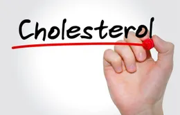 Những điều bạn nên biết về cholesterol