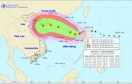 Chủ động ứng phó với diễn biến của cơn bão số 11