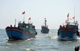 Lá cờ Tổ quốc -  niềm tự hào của mỗi ngư dân vươn khơi bám biển