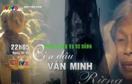 Tập 4 series "Rừng xanh và sự sống": Còn đâu văn minh rừng