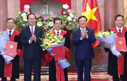 Chủ tịch nước trao quyết định bổ nhiệm thẩm phán Tòa án nhân dân tối cao