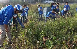 Đà Nẵng ra quân hưởng ứng Tuần lễ Biển và Hải đảo