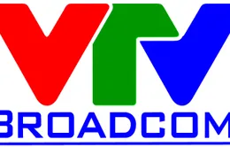 Thông tin về bán đấu giá cổ phần của công ty TNHH Dịch vụ - Truyền hình Viễn thông Việt Nam