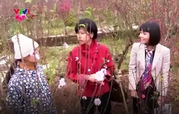 Các nhà ngoại giao với Tết Việt