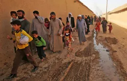 Iraq khắc phục tình trạng thiếu nước sinh hoạt trầm trọng ở Mosul