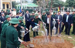 Phó Chủ tịch nước tham dự Tết trồng cây tại Hòa Bình