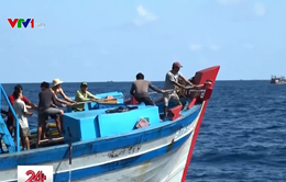 Bắt giữ 4 tàu cá đánh bắt trái phép tại vùng biển Malaysia