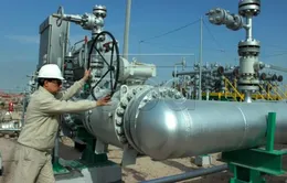 Thỏa thuận cắt giảm sản lượng dầu có thể được gia hạn