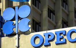 OPEC chưa nhất trí về việc cắt giảm sản lượng dầu