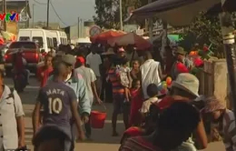 Dịch hạch hoành hành ở Madagascar