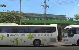 Khách Trung Quốc ồ ạt tới Khánh Hòa bằng “tour 0 đồng”