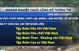 Nhiều DNNN chưa công bố thông tin trên trang thông tin điện tử