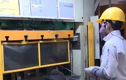 Doanh nghiệp tư nhân lép vế trong cạnh tranh