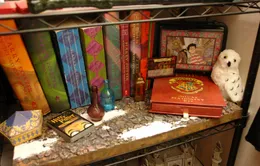 20 năm Harry Potter đến Việt Nam