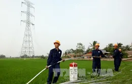 Khó khăn về mặt bằng dự án cấp điện cho Hà Nội