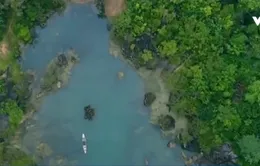 Chờ đợi tour tham quan phim trường "Kong: Skull Island"