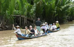 Nhiều điểm nhấn hấp dẫn thu hút khách du lịch tại Bến Tre