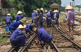 Sớm thông báo nguyên nhân tàu trật bánh