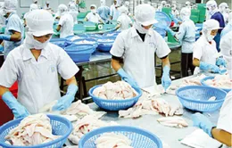 Thu hút FDI tháng 1 đạt trên 1,42 tỷ USD