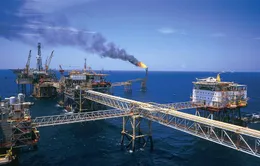 PetroVietnam thu hàng nghìn tỷ tiền lãi ngân hàng