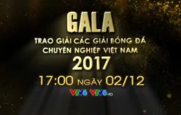 17:00 hôm nay: Gala trao giải các giải bóng đá chuyên nghiệp Việt Nam 2017 (Trực tiếp trên VTV6)