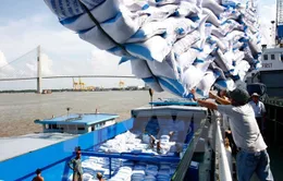 Bộ Công Thương: "Không chấp nhận chuyện mua bán chỉ tiêu xuất khẩu gạo"
