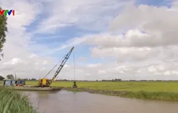 An Giang gia cố đê bao ngăn lũ, bảo vệ lúa