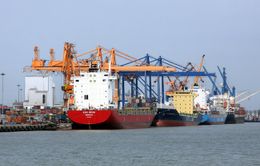 Hải Phòng tăng phí cảng biển, doanh nghiệp kêu cứu