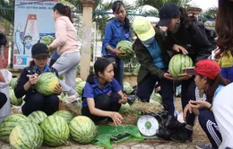 Thanh niên Quảng Ngãi giúp nông dân bán dưa hấu