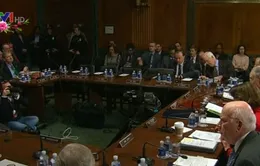 Đảng Dân chủ tẩy chay bỏ phiếu nhân sự Nội các của ông Trump