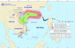 Bão số 11 sẽ giảm cấp, di chuyển theo hướng Tây Tây Bắc