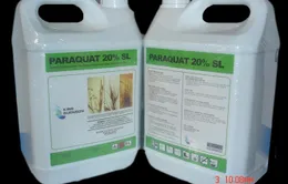 Tác hại của thuốc diệt cỏ Paraquat