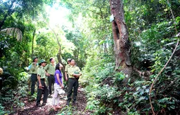 Công nhận Vườn Quốc gia Bái Tử Long là Vườn Di sản của ASEAN