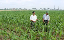 Tổ chức Festival Quốc tế Nông nghiệp vùng ĐBSCL