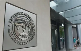 IMF công bố công cụ cứu trợ mới không dùng tiền