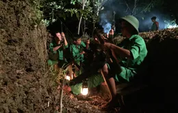 "Trường Sơn Đông gọi Trường Sơn Tây": Những câu chuyện lịch sử nơi bến Long Đại