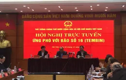 Thủ tướng chỉ đạo khẩn ứng phó với bão số 16 (Tembin)