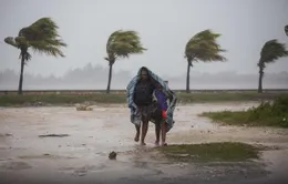 Bão Irma gây thiệt hại nặng nề tại Cuba