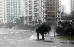 Siêu bão Irma đe dọa ngành du lịch của Florida