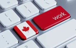 Canada hút lao động tay nghề cao khi Mỹ giới hạn nhập cư