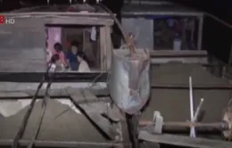 Bắt 3 thuyền khai thác cát trái phép trên sông Hương